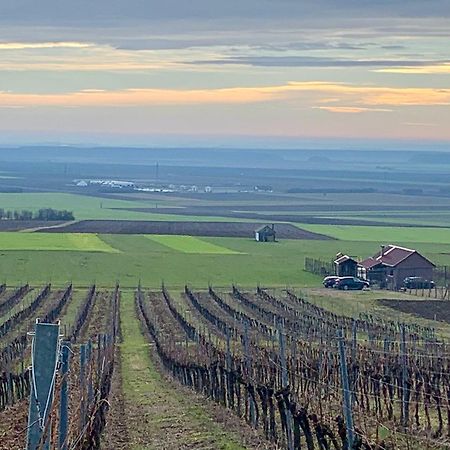 Kuca Za Odmor Kiss-Karanac,Baranja Villa Bagian luar foto