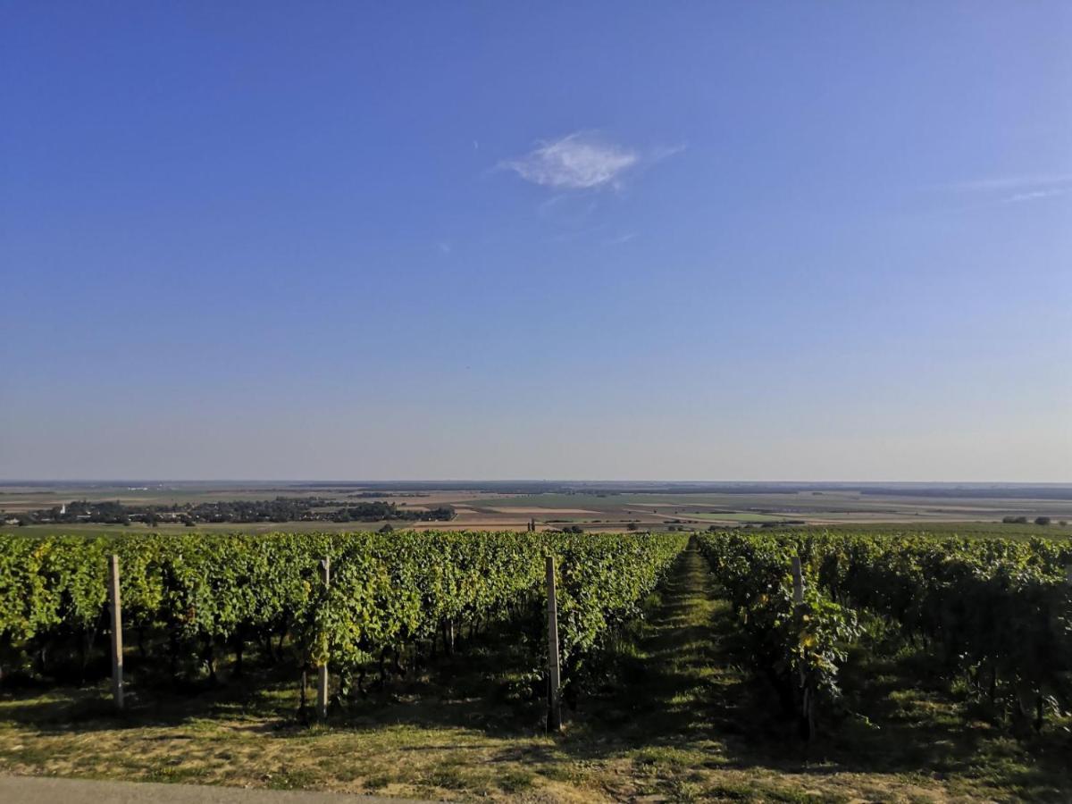 Kuca Za Odmor Kiss-Karanac,Baranja Villa Bagian luar foto