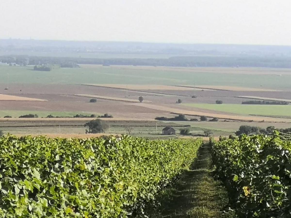 Kuca Za Odmor Kiss-Karanac,Baranja Villa Bagian luar foto