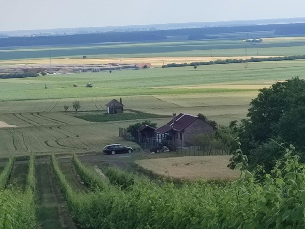 Kuca Za Odmor Kiss-Karanac,Baranja Villa Bagian luar foto