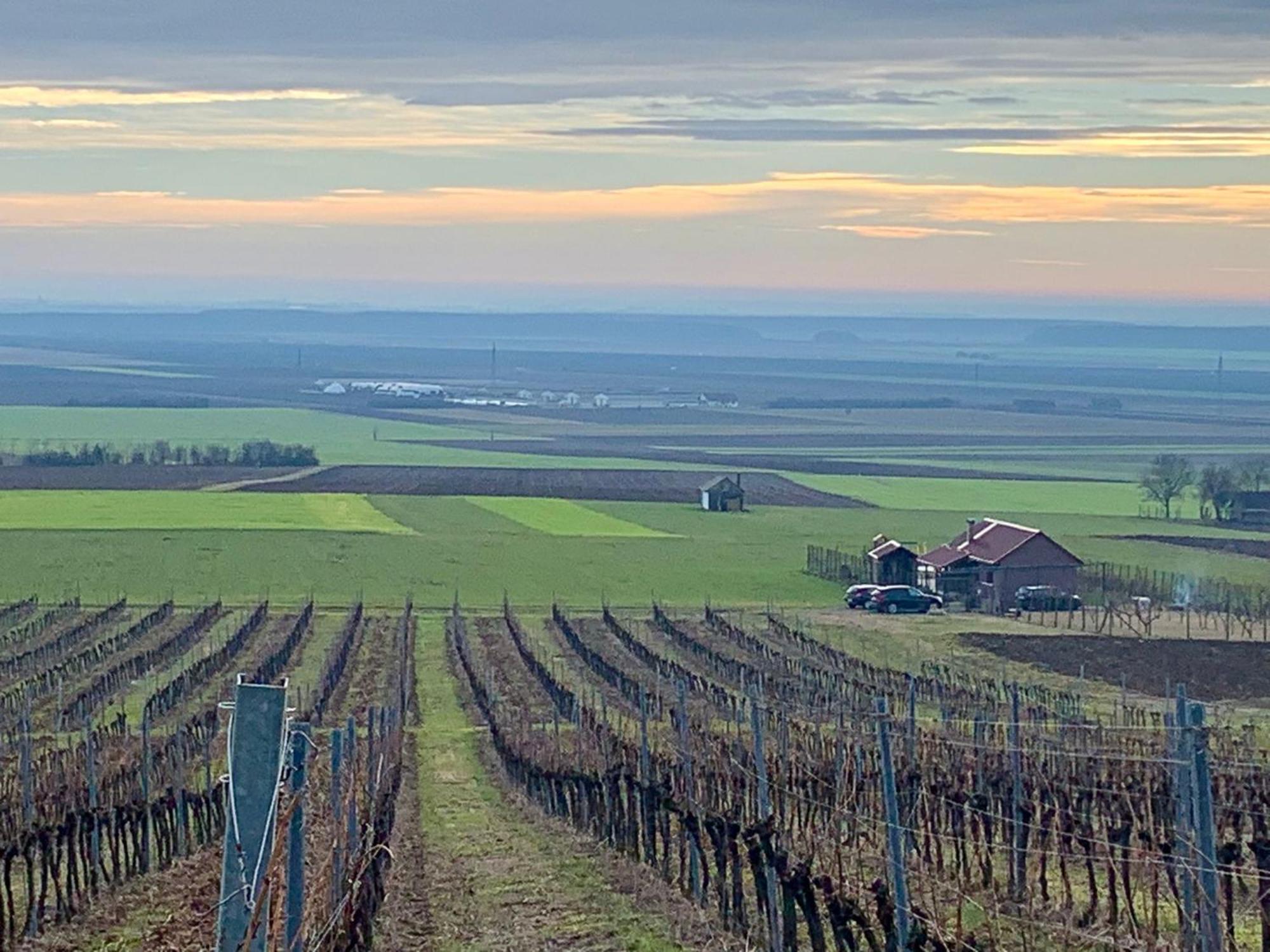 Kuca Za Odmor Kiss-Karanac,Baranja Villa Bagian luar foto